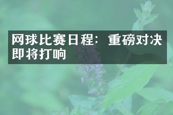 网球比赛日程：重磅对决即将打响