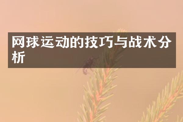 网球运动的技巧与战术分析