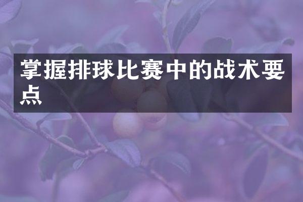 掌握排球比赛中的战术要点