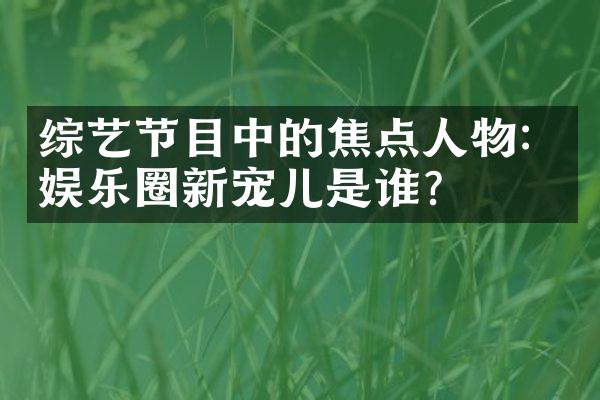 综艺节目中的焦点人物：娱乐圈新宠儿是谁？