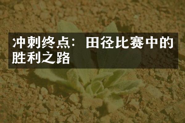 冲刺终点：田径比赛中的胜利之路