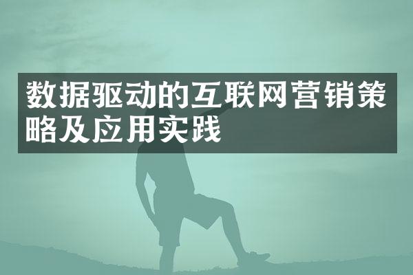 数据驱动的互联网营销策略及应用实践