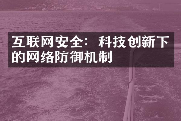 互联网安全：科技创新下的网络防御机制