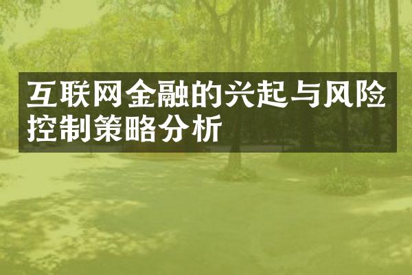 互联网金融的兴起与风险控制策略分析