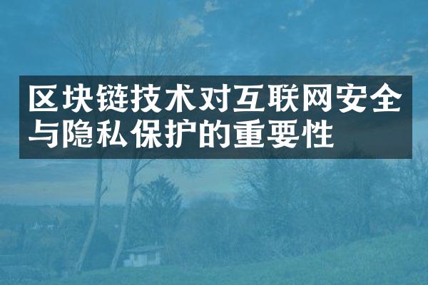 区块链技术对互联网安全与隐私保护的重要性