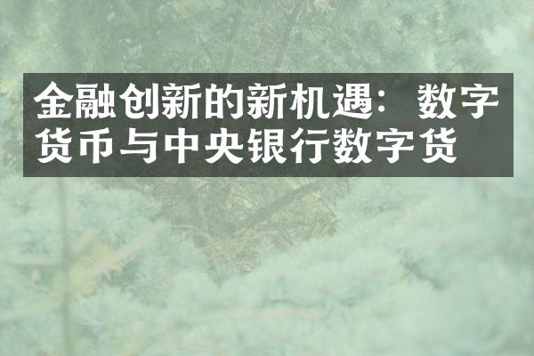 金融创新的新机遇：数字货币与中央银行数字货币