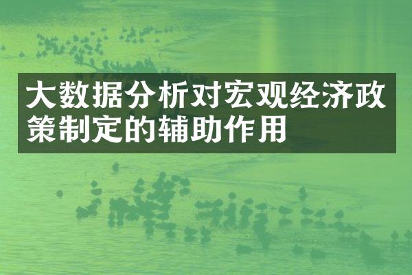 大数据分析对宏观经济政策制定的辅助作用