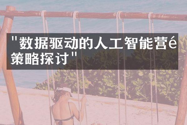 "数据驱动的人工智能营销策略探讨"