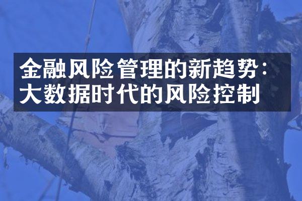 金融风险管理的新趋势：大数据时代的风险控制