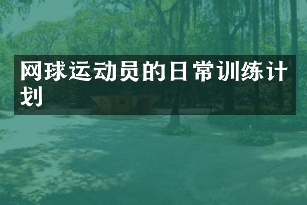 网球运动员的日常训练计划