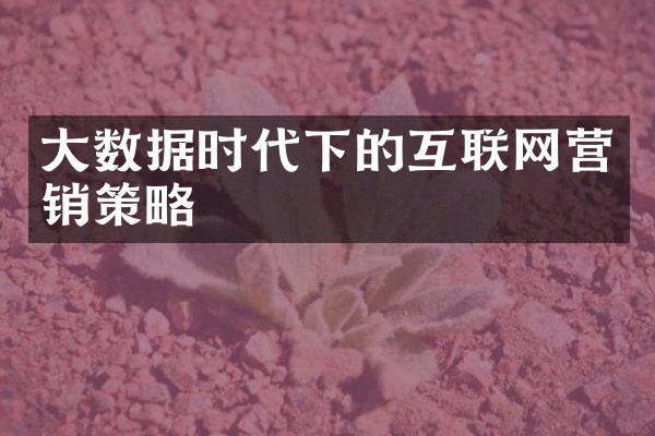 数据时代下的互联网营销策略