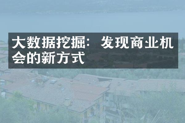 大数据挖掘：发现商业机会的新方式