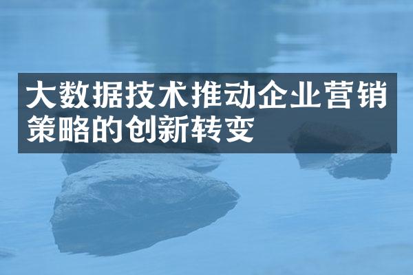 大数据技术推动企业营销策略的创新转变