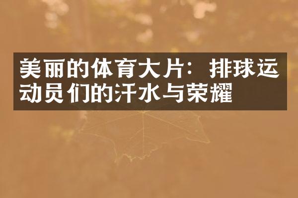 美丽的体育大片：排球运动员们的汗水与荣耀