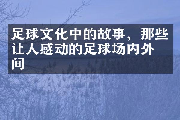 足球文化中的故事，那些让人感动的足球场内外瞬间