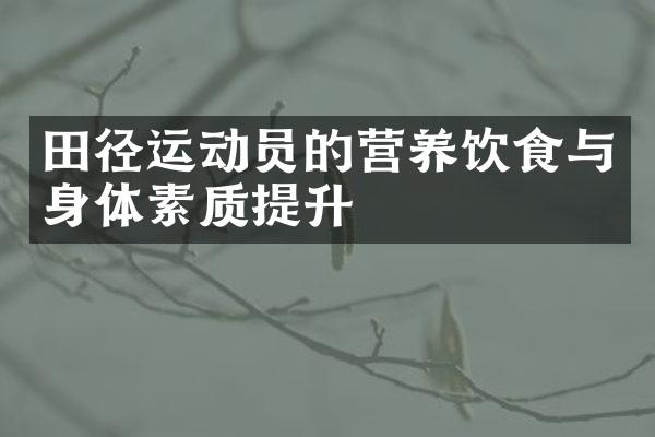 田径运动员的营养饮食与身体素质提升