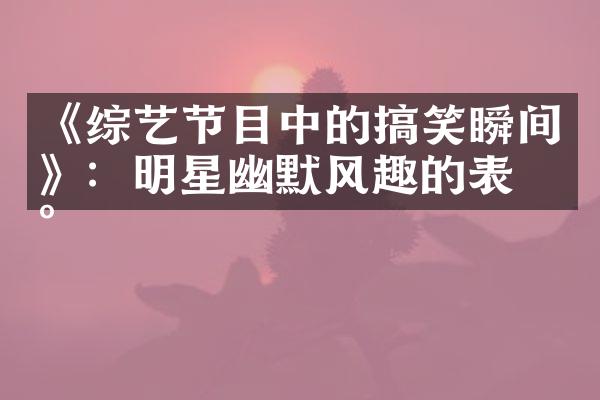 《综艺节目中的搞笑瞬间》：明星幽默风趣的表现