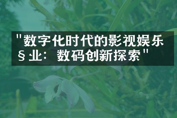 "数字化时代的影视娱乐产业：数码创新探索"