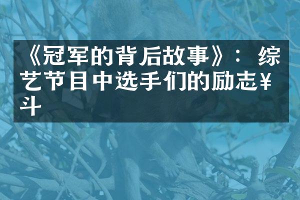 《冠军的背后故事》：综艺节目中选手们的励志奋斗