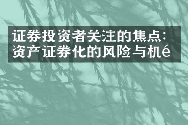 证券投资者关注的焦点：资产证券化的风险与机遇