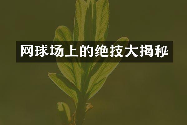 网球场上的绝技大揭秘