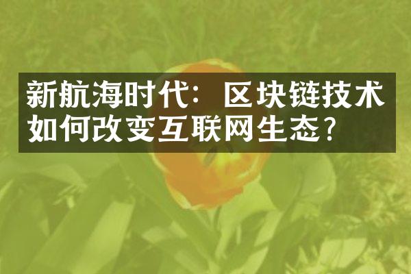 新航海时代：区块链技术如何改变互联网生态？