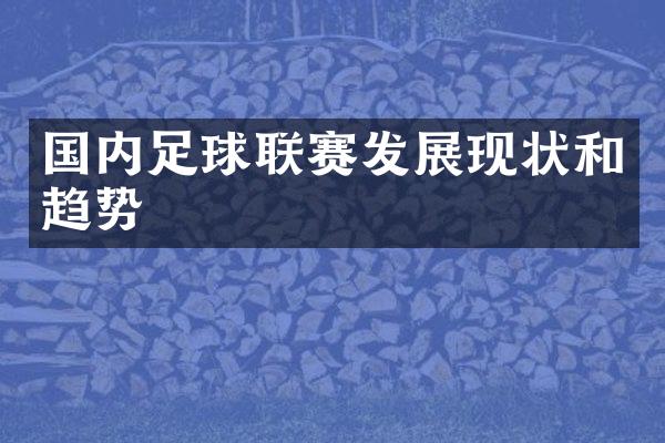 国内足球联赛发展现状和趋势