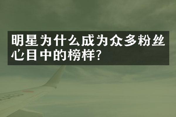 明星为什么成为众多粉丝心目中的榜样？