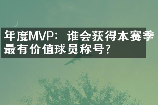 年度MVP：谁会获得本赛季最有价值球员称号？