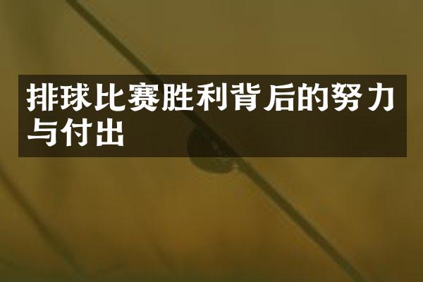 排球比赛胜利背后的努力与付出