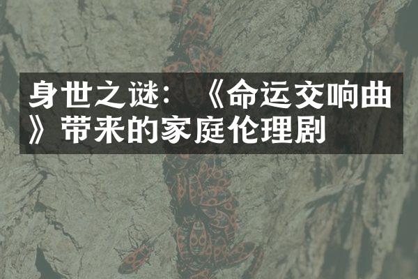 身世之谜：《命运交响曲》带来的家庭伦理剧