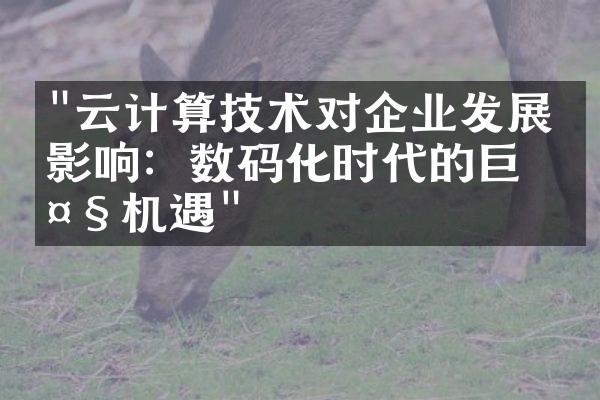 "云计算技术对企业发展的影响：数码化时代的巨大机遇"