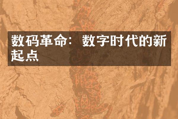 数码革命：数字时代的新起点