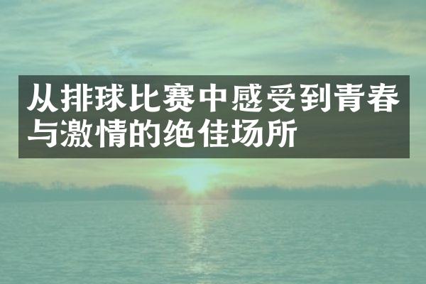 从排球比赛中感受到青春与激情的绝佳场所