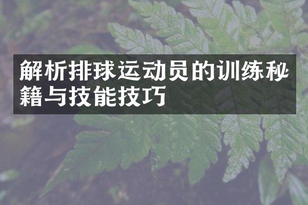 解析排球运动员的训练秘籍与技能技巧