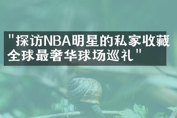 "探访NBA明星的私家收藏：全球最奢华球场巡礼"