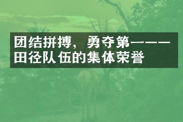 团结拼搏，勇夺第一——田径队伍的集体荣誉