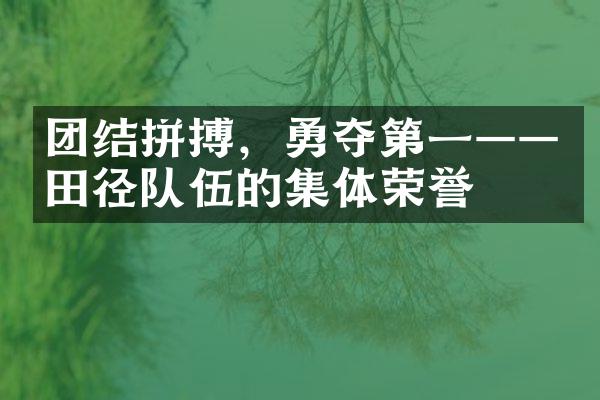 团结拼搏，勇夺第一——田径队伍的集体荣誉