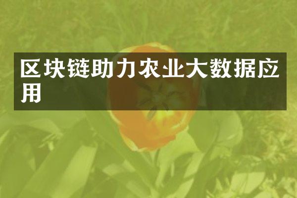 区块链助力农业大数据应用