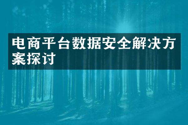 电商平台数据安全解决方案探讨