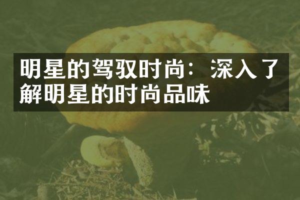 明星的驾驭时尚：深入了解明星的时尚品味