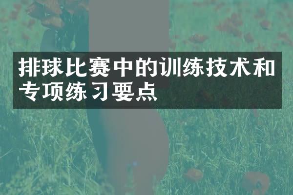 排球比赛中的训练技术和专项练习要点