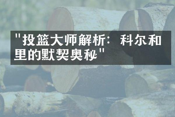 "投篮大师解析：科尔和库里的默契奥秘"