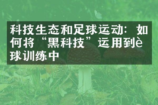 科技生态和足球运动：如何将“黑科技”运用到足球训练中