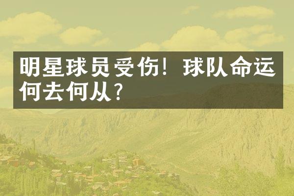 明星球员受伤！球队命运何去何从？