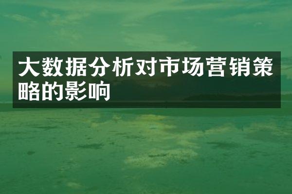 大数据分析对市场营销策略的影响