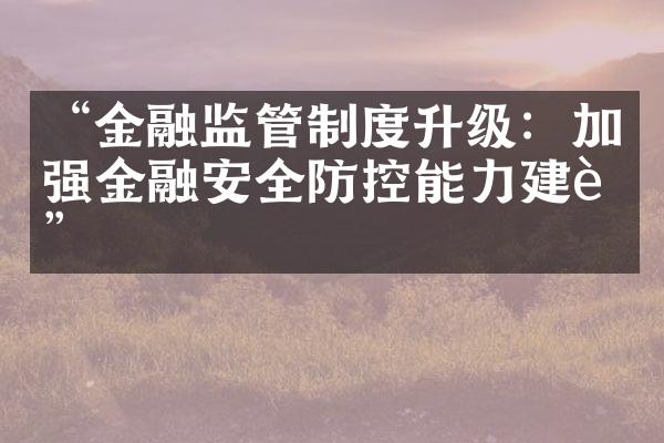 “金融监管制度升级：加强金融安全防控能力建设”