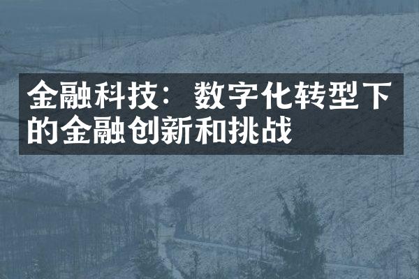 金融科技：数字化转型下的金融创新和挑战