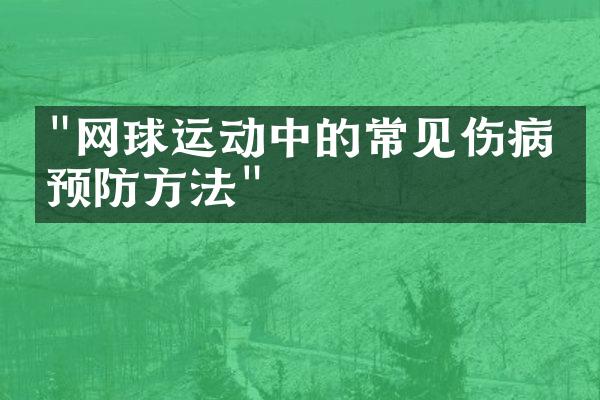 "网球运动中的常见伤病及预防方法"