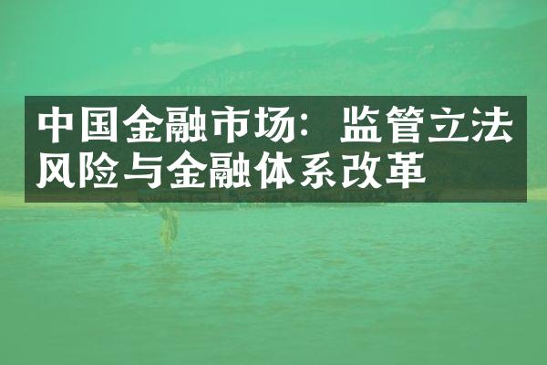 中国金融市场：监管立法风险与金融体系改革